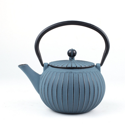 blue round metal beautyl cast iron coffee kettle enamel tea pot