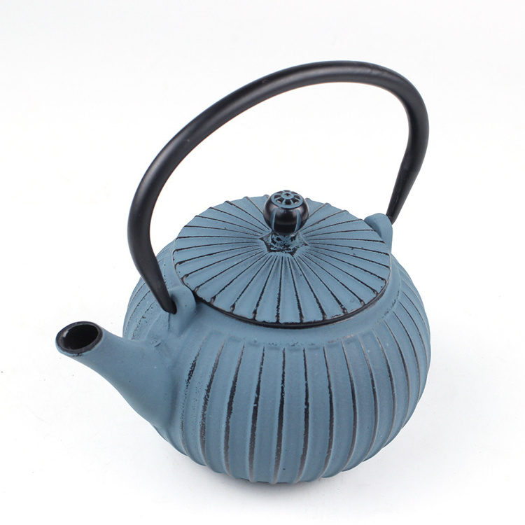 blue round metal beautyl cast iron coffee kettle enamel tea pot