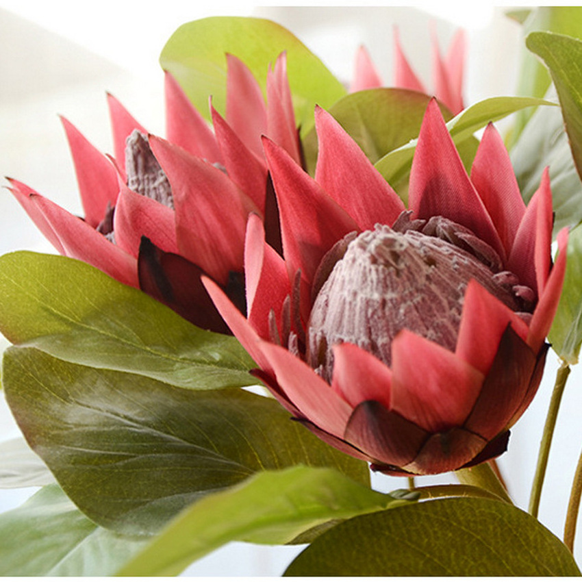 Giant  Artificial Flower Artificial  King Protea Flower