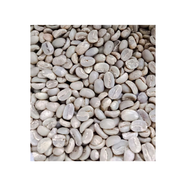 Wholesale Indonesian High Quality Green Coffee With Best Price Robusta Beans For Import Good Quality Raw Coffee Beans