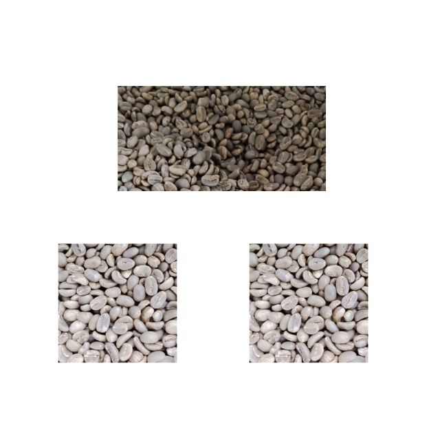 Wholesale Indonesian High Quality Green Coffee With Best Price Robusta Beans For Import Good Quality Raw Coffee Beans