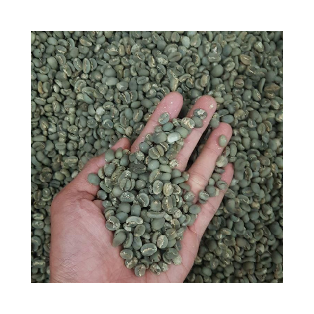 Hot Sale Indonesian Premium Arabica Green Coffee Beans Dry Process Arabica Green Coffee Beans