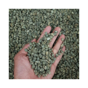 Hot Sale Indonesian Premium Arabica Green Coffee Beans Dry Process Arabica Green Coffee Beans