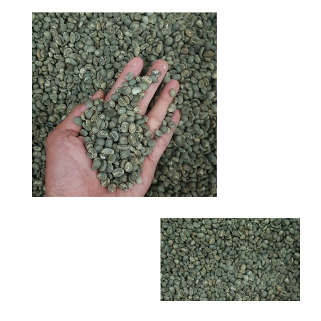 Hot Sale Indonesian Premium Arabica Green Coffee Beans Dry Process Arabica Green Coffee Beans