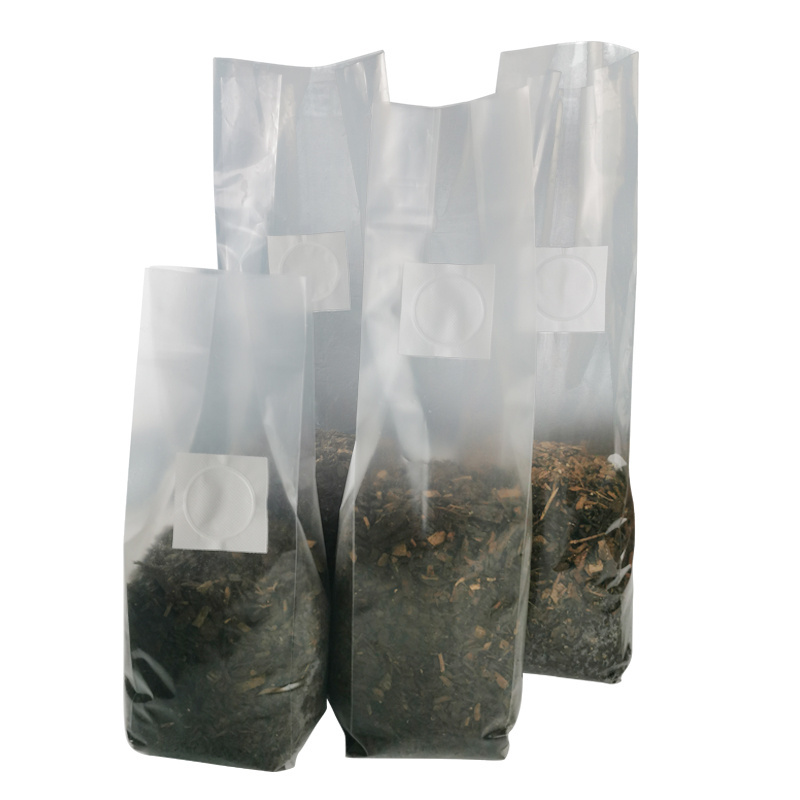 High quality shiitake mushroom bag mushroom spawn grow bags