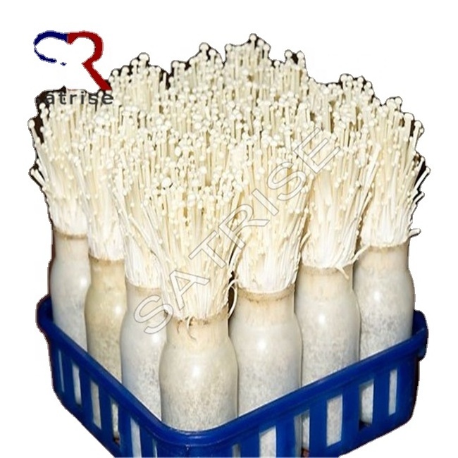 High quality plastic jar and bottle for mushroom spawn growing enoki mushroom cultivation pp plastic bottles