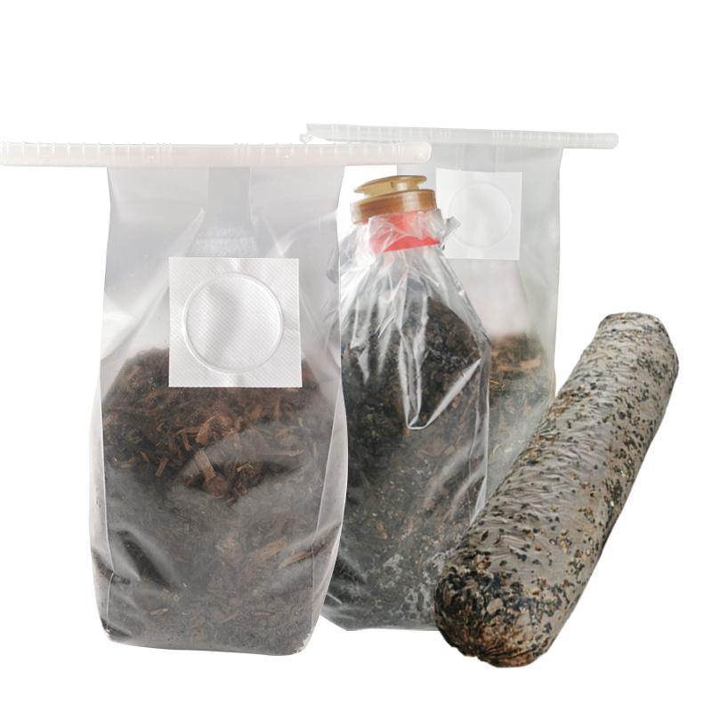 hot sale mushroom spawn mycelium fungi growing bags