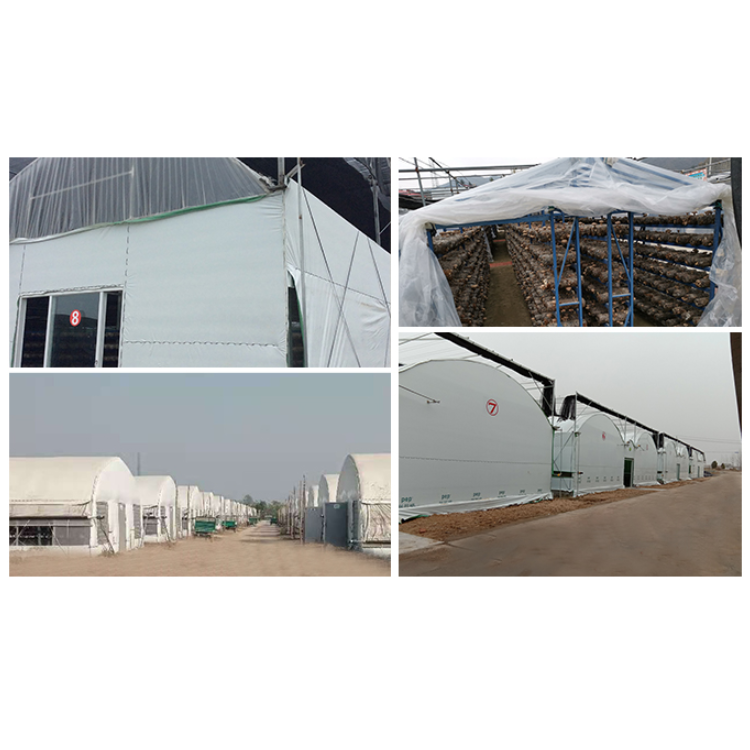 China manufacturer greenhouses design mushroom grow greenhouse