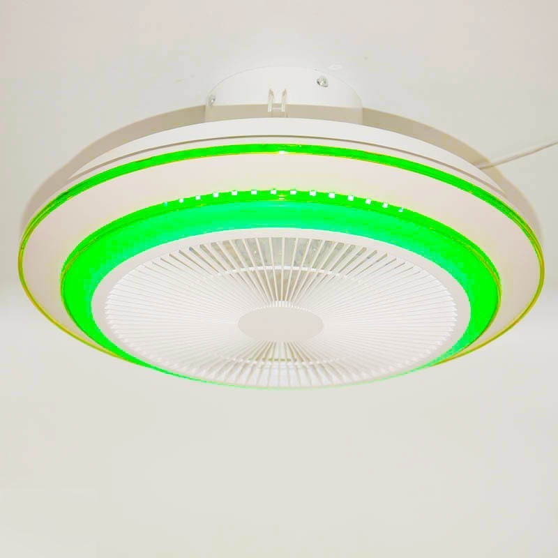 Modern APP wireless music invisible remote control intelligent fan ceiling light illumination home bedroom LED ceiling fan light