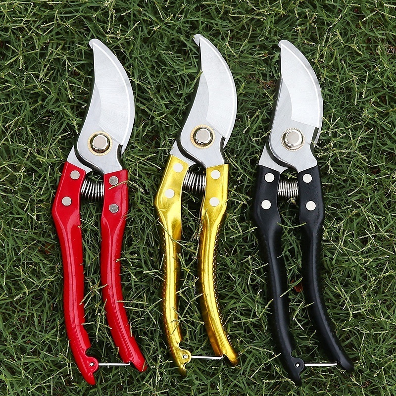 Hot Sale professional garden  fruit tree bypass branch scissors pruner pruning shears gold cutter for indoor plants