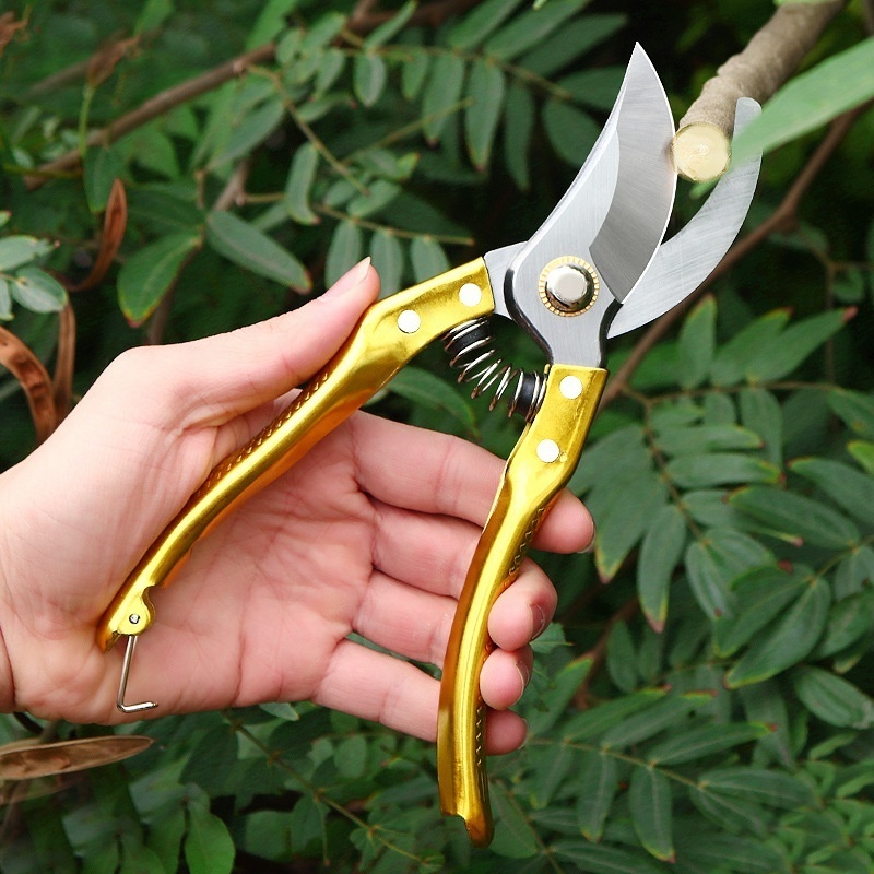 Hot Sale professional garden  fruit tree bypass branch scissors pruner pruning shears gold cutter for indoor plants