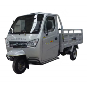 Driving Gasoline Enclosed Cargo Tricycle With Engine Cabin Type Adult Tricycle 2 For Loading And Sale