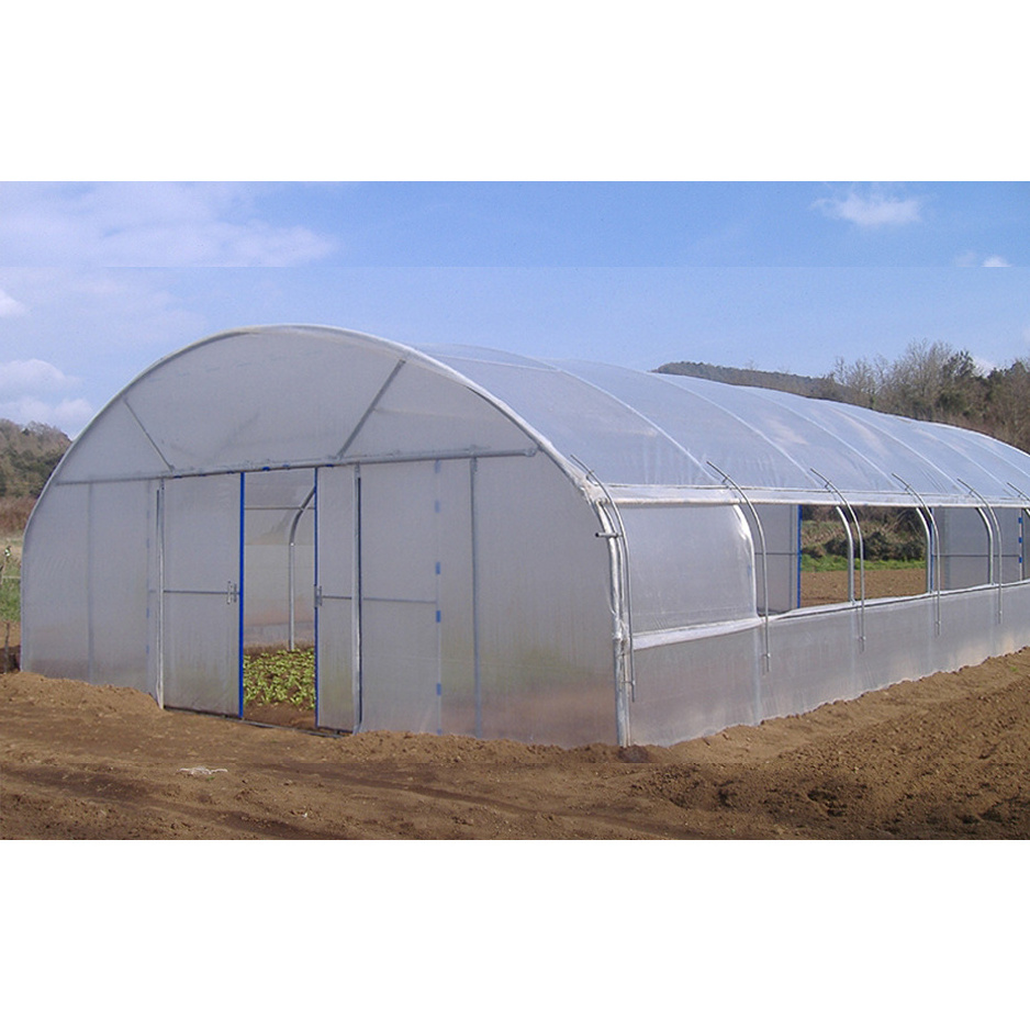 Agricultural hoop greenhouse 20-100m commercial Economic Tunnel Plastic Film tomato greenhouse