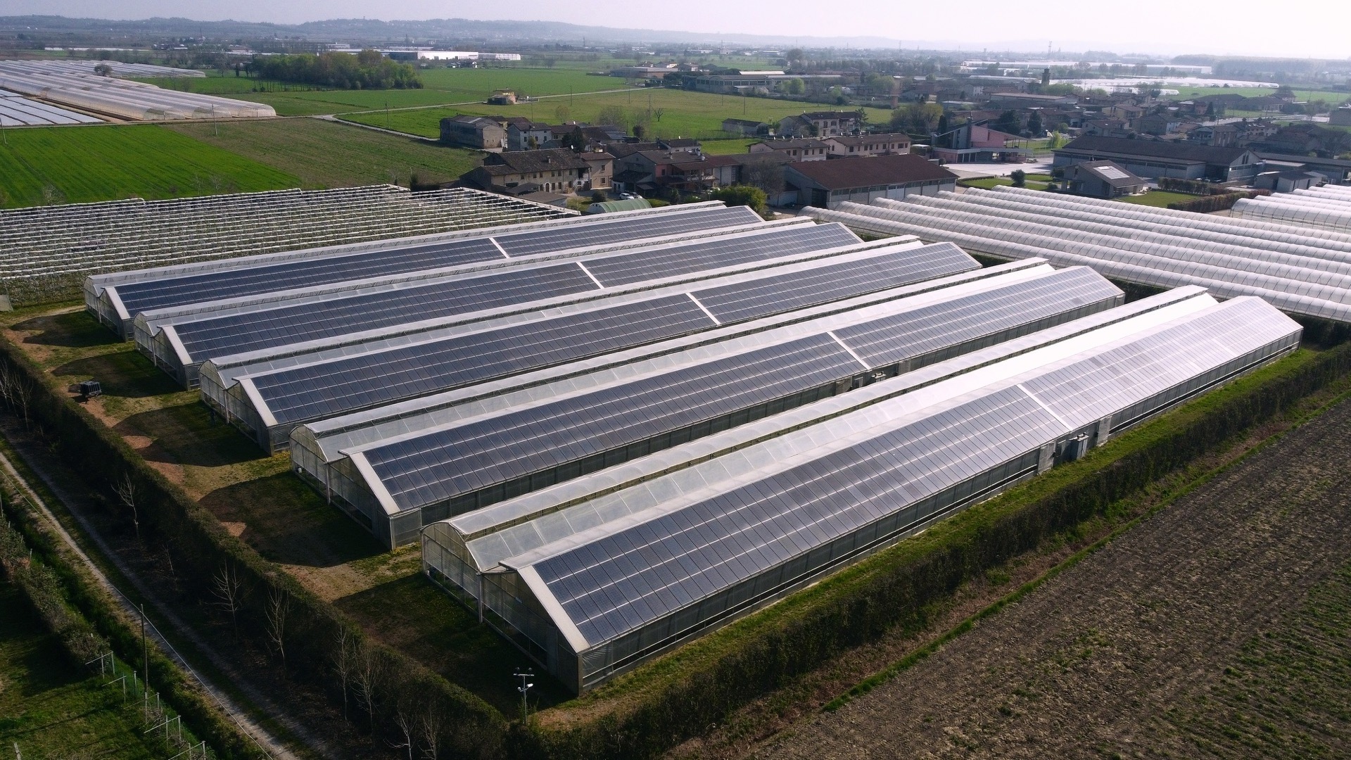 agriculture photovoltaic solar glass greenhouse design china wholesale double glass greenhouse