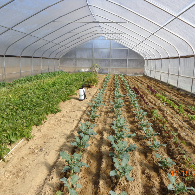 green house tunnel greenhouse single-span plastic film hoop Double Layer Pe agricultural greenhouse for vegetables growing