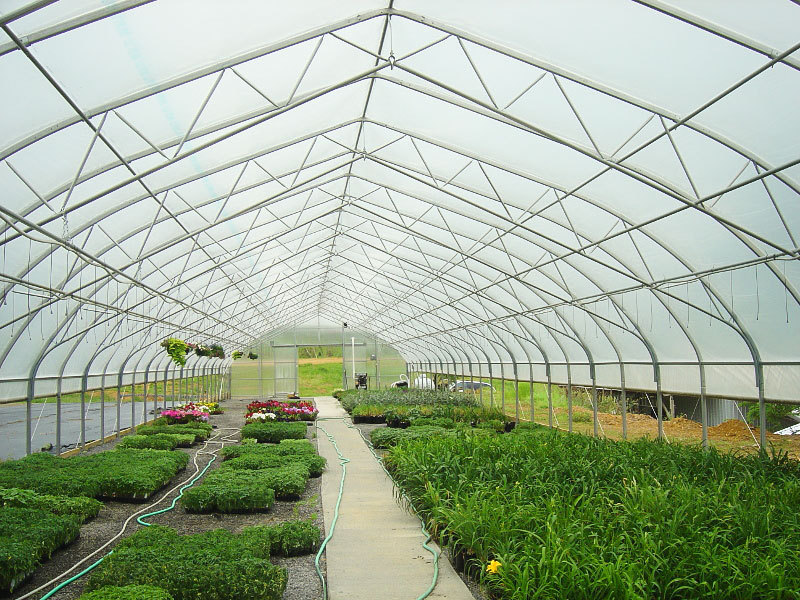 green house tunnel greenhouse single-span plastic film hoop Double Layer Pe agricultural greenhouse for vegetables growing