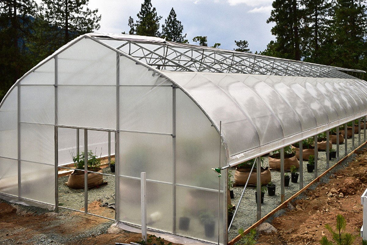 green house tunnel greenhouse single-span plastic film hoop Double Layer Pe agricultural greenhouse for vegetables growing