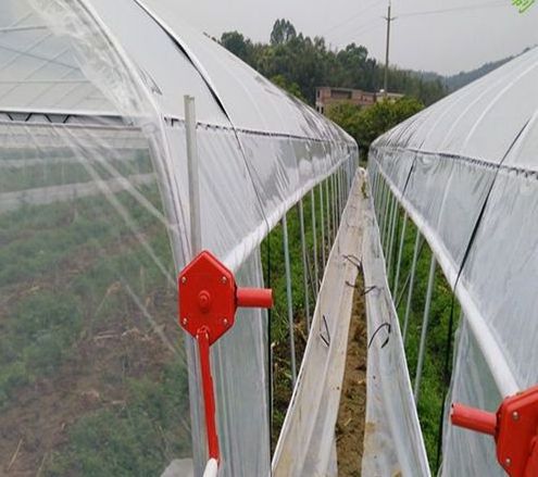 Agricultural hoop greenhouse 20-100m commercial Economic Tunnel Plastic Film tomato greenhouse