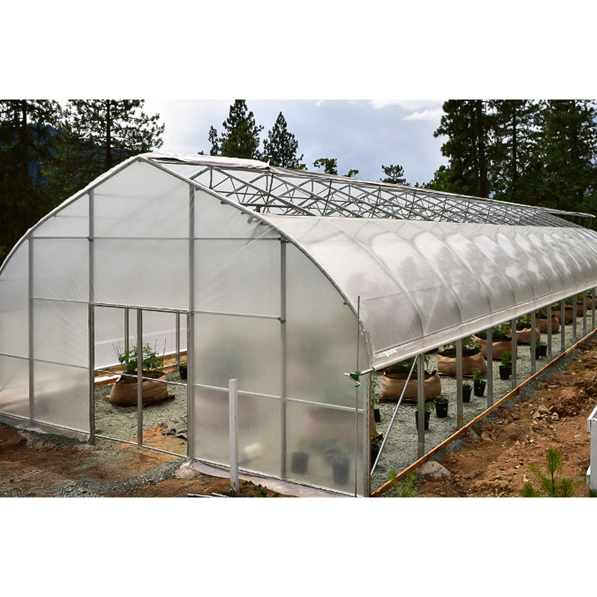 green house tunnel greenhouse single-span plastic film hoop Double Layer Pe agricultural greenhouse for vegetables growing