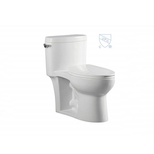 Single Outlet Hole Side Flushing Water Saving UPC Certified One Piece Toilets