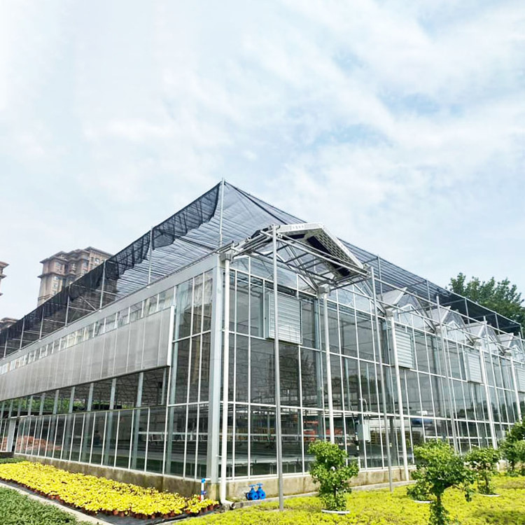 Multi-span Greenhouse Modern Industrial Multispan Venlo Multispan Glass Greenhouse With Automated Indoor Vertical Farming System