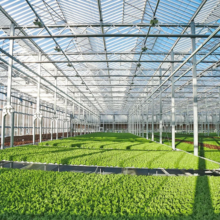 Multi-span Greenhouse Modern Industrial Multispan Venlo Multispan Glass Greenhouse With Automated Indoor Vertical Farming System