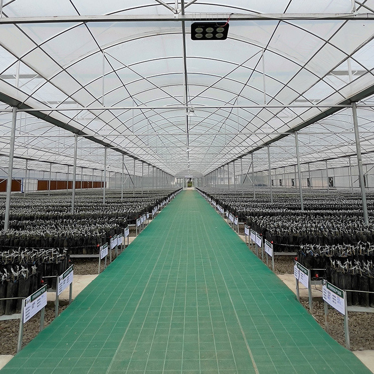 Agriculture plants growing thermal blanket greenhouse commercial multi-span greenhouses