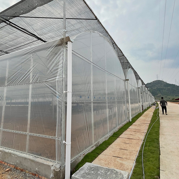 Agriculture plants growing thermal blanket greenhouse commercial multi-span greenhouses