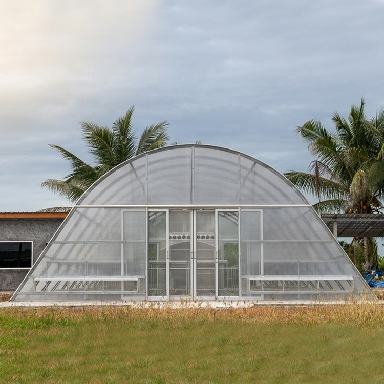 Stocked 8x20m Tunnel Greenhouse Sun Drying Greenhouse for Fruits Herbs Flowers