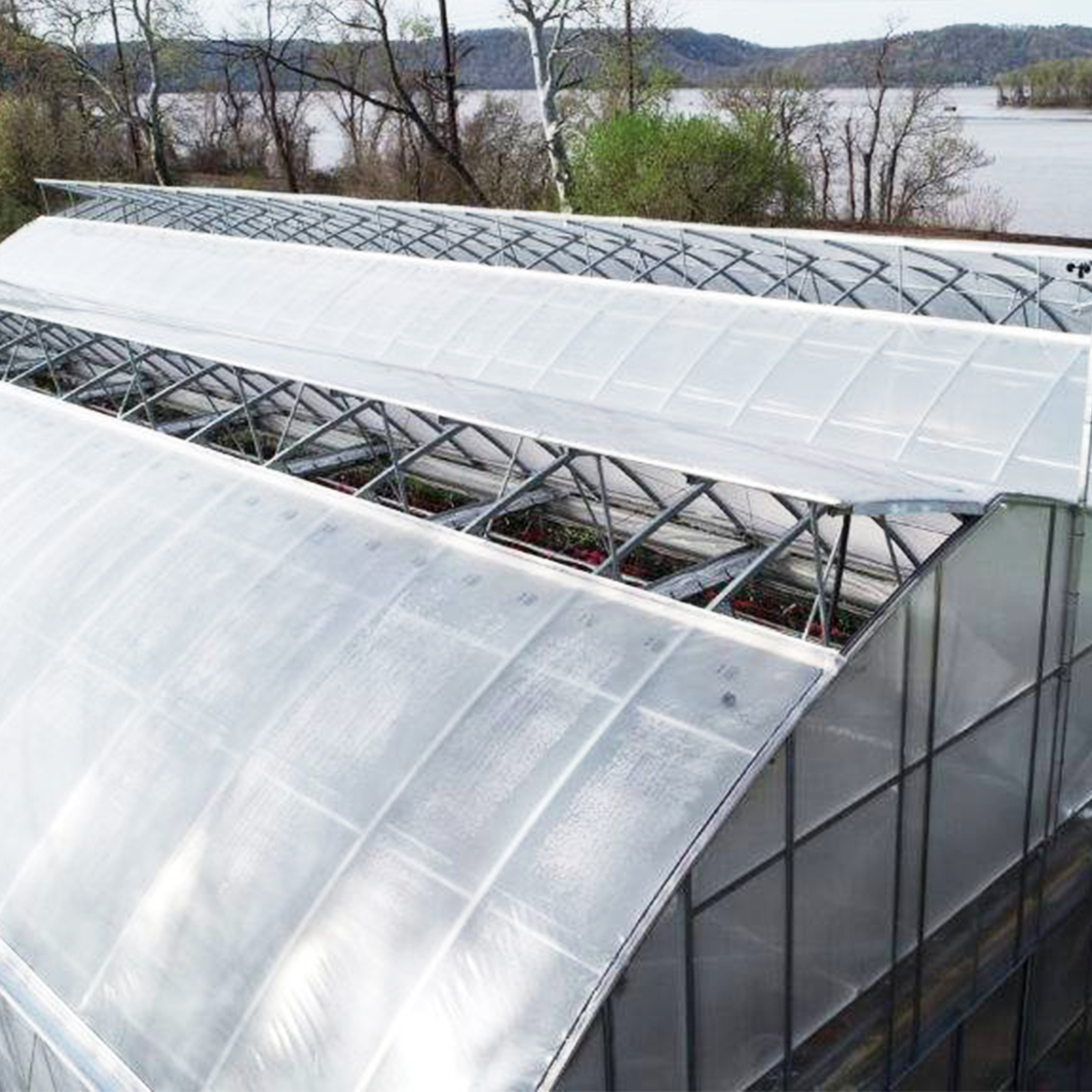 Automatic Retractable Roof Plant Green House Skylight Ventilation Greenhouse for Tropical Area