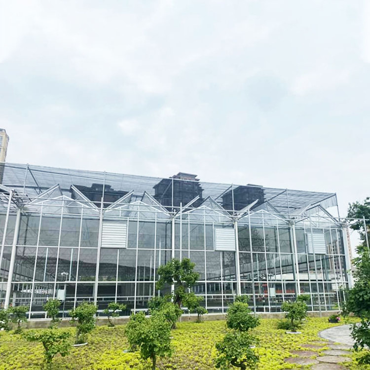 Multi-span Greenhouse Modern Industrial Multispan Venlo Multispan Glass Greenhouse With Automated Indoor Vertical Farming System