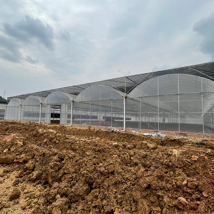 Agriculture plants growing thermal blanket greenhouse commercial multi-span greenhouses