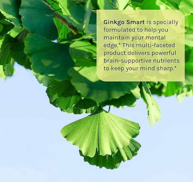 OEM Private Label Ginkgo Biloba Capsules 300mg Ginkgo Biloba Extract Softgels for Nootropic Brain Booster