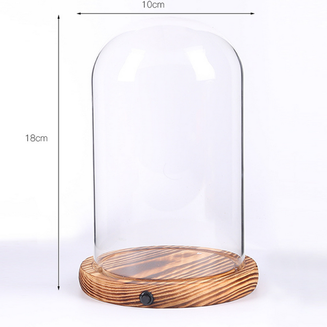 Glass Dome Cover Bell Cloche Jar with Wooden Base different shape Flower Case for Tabletop Display DIY Craft Making