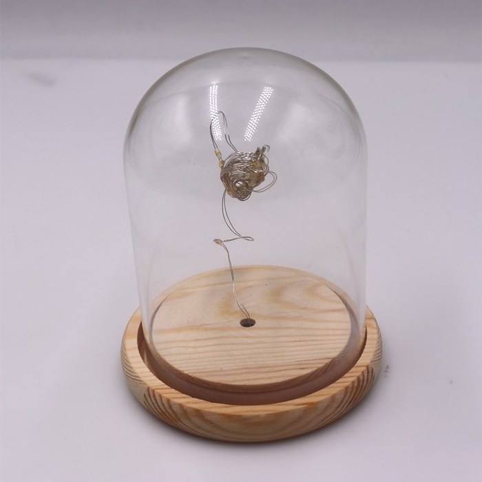 Blown Clear Glass Dome for house decoration customized glass display bell dome cloche with wood base cloche Dome glass