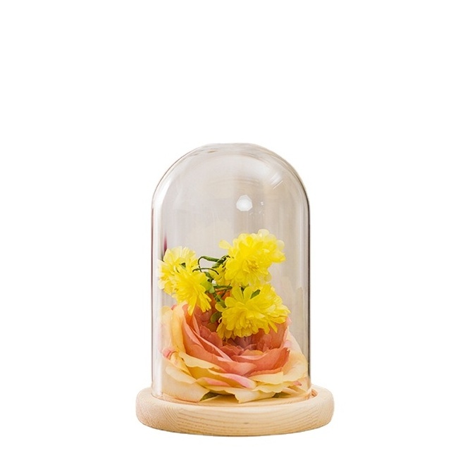 12cm factory supplier clear flower glass dome bell jar cloche ornament with wooden base