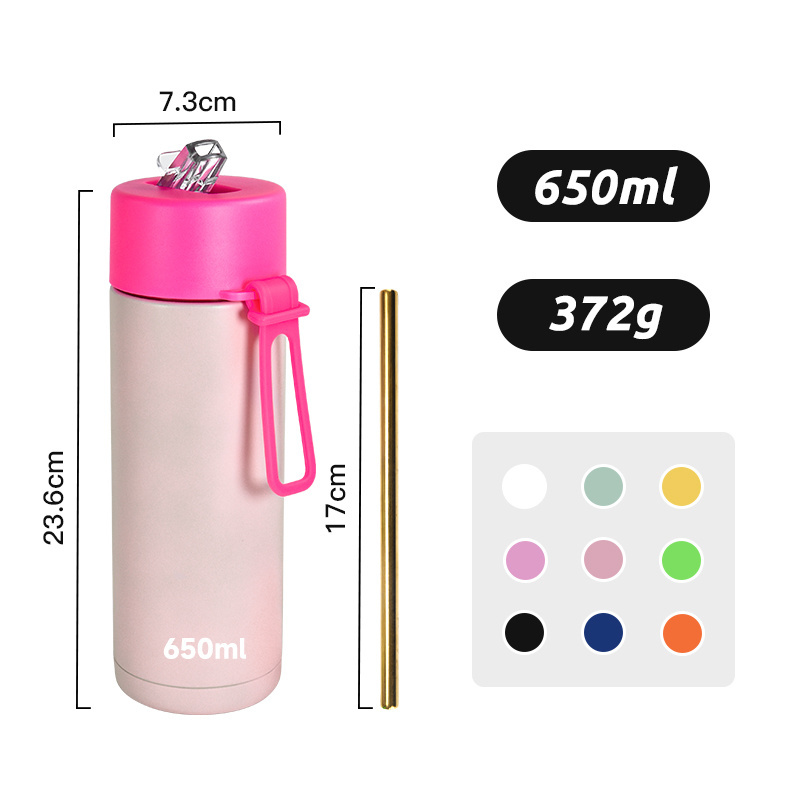 Customized Logo 650ml Frank Green Outdoor Sport Stainless Steel Double Wall Insulated Australian Water Bottle with handle