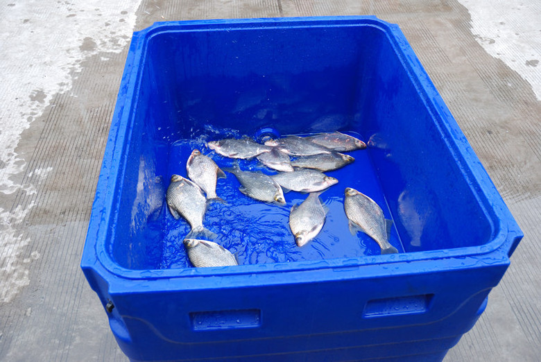 live fish transport tanks transport container plastic tank 1000l