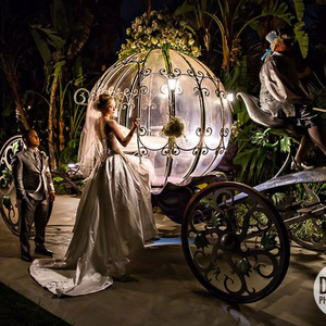 Mobile Horse Cart Gracefully Princess Horse Carriage electric Cinderella carriage wedding pumpkin  carriage