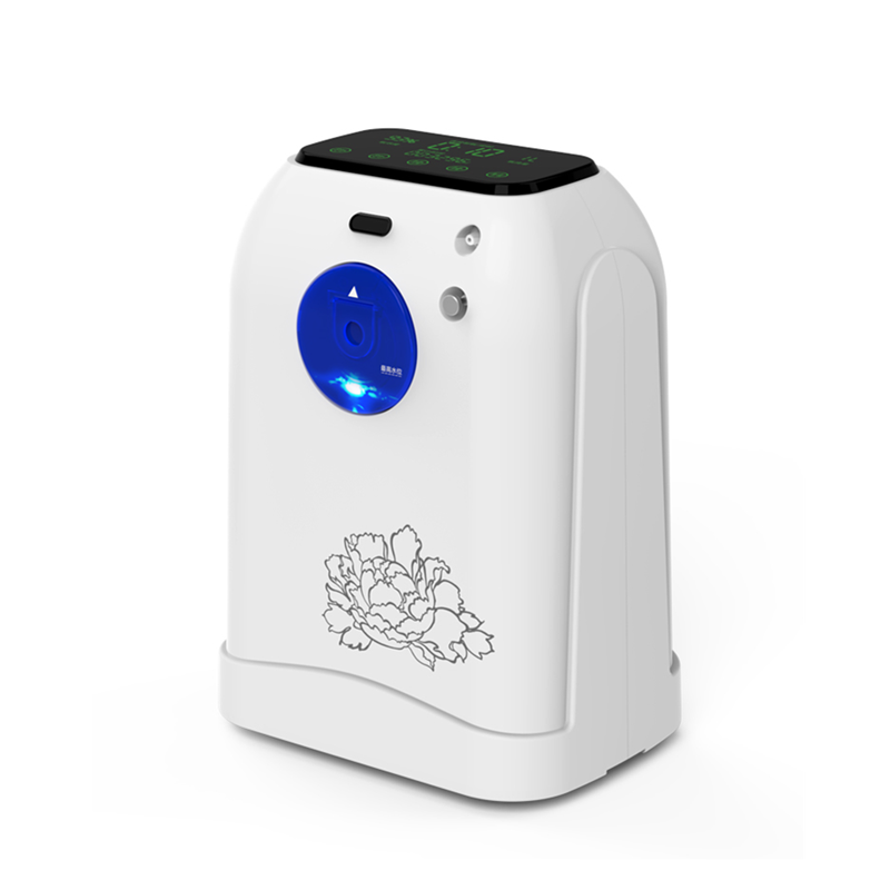 China factory hot sale  dual user mini 1L oxygen concentrator portable