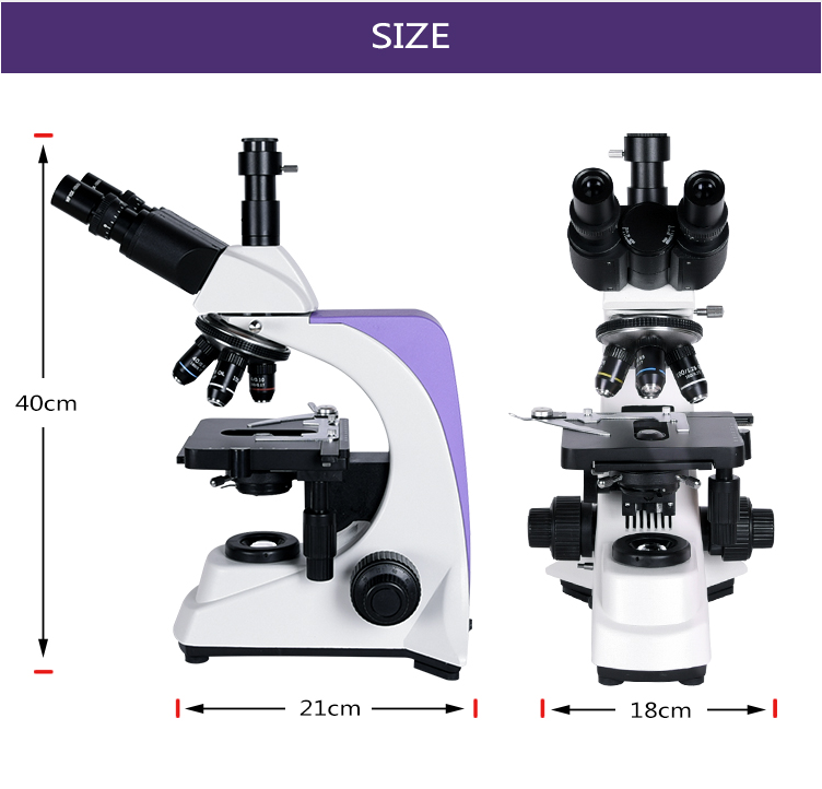 ZOOM 40 - 2500X Professional Biological Lab High-Quality BM-500T Biological Digital Microscope Slide for Semen Observation