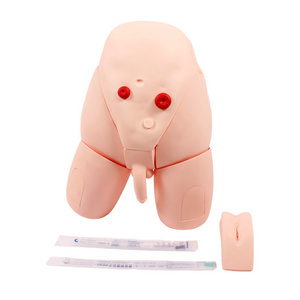 Sciedu Medical Models Catheterisation Trainer Medical Science PVC Man or Female Urethral Catheterization Model