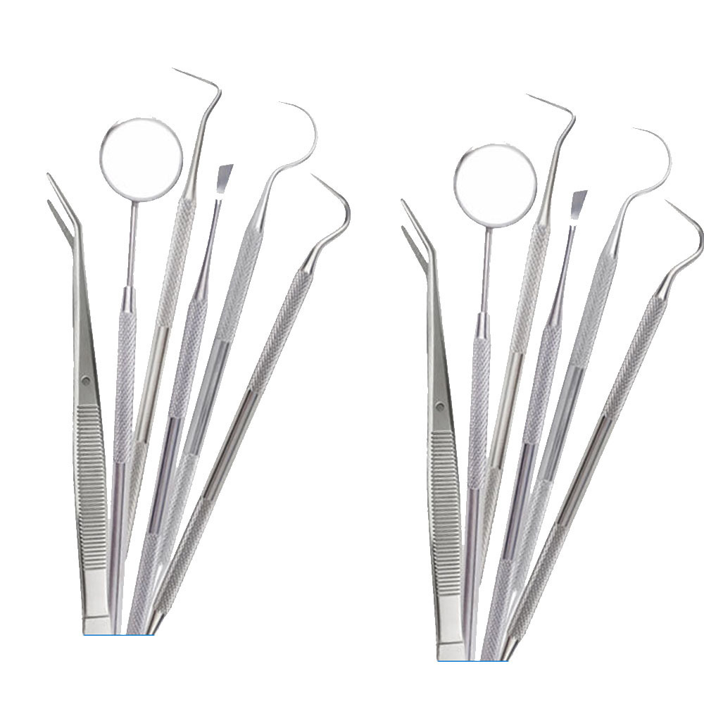 Examination Kit Stainless Steel Dental Oral Care Teeth Cleaning Dental Tools Kit with Mouth Mirror