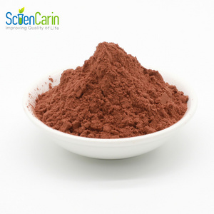 ISO Approved Natural Supplement Ingredient 95% OPC Pine Bark Extract Powder Proanthocyanidins