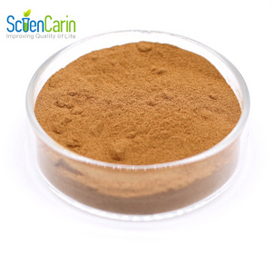 Small MOQ Botanical Supplement Ingredient Fenugreek Seed Extract Powder