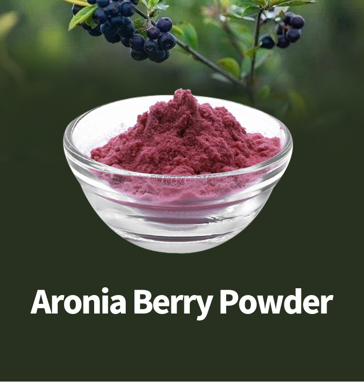 100% Pure Aronia Chokeberry Powder Aronia Berry Powder