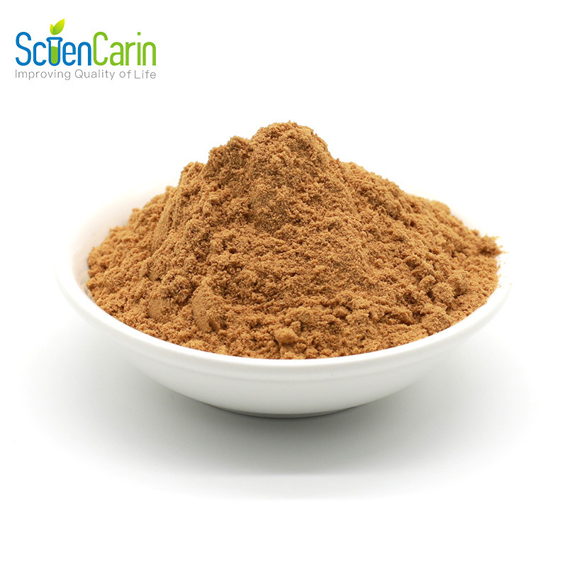 Free Sample Natural Supplement Red Algae Peel Extract Powder