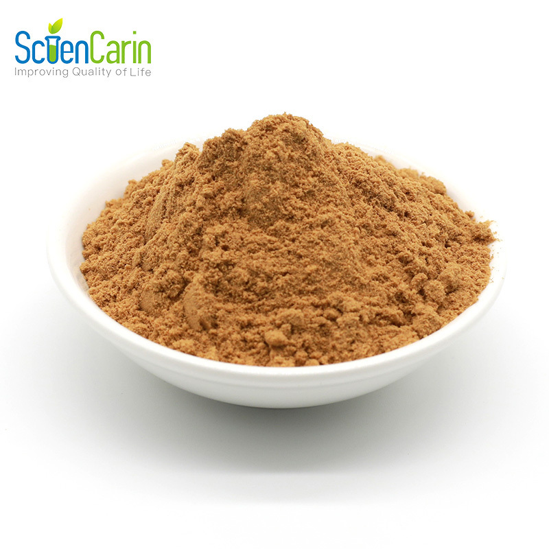 Free Sample Natural Supplement Red Algae Peel Extract Powder