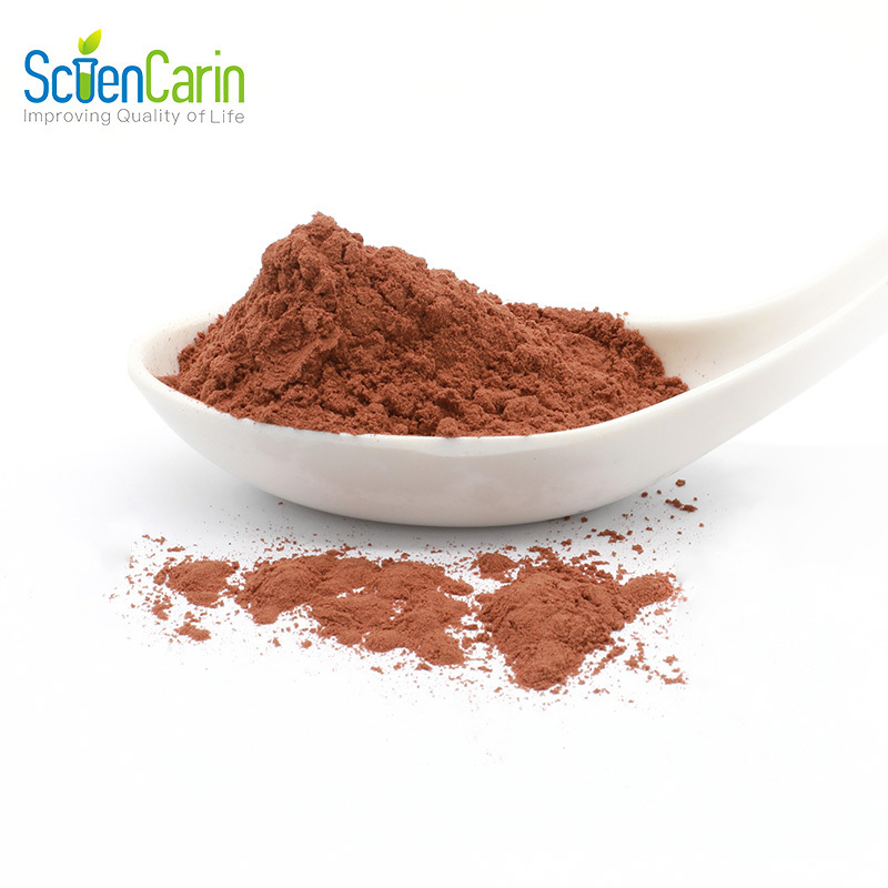 ISO Approved Natural Supplement Ingredient 95% OPC Pine Bark Extract Powder Proanthocyanidins