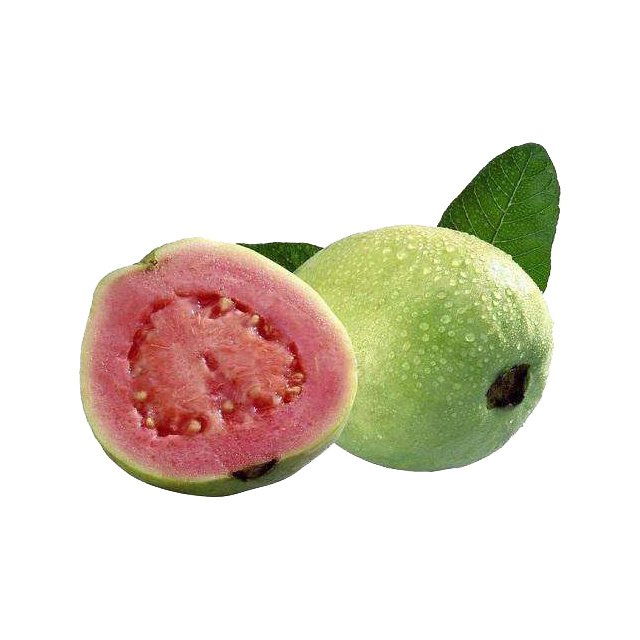 100% pure Guava Leaf Extract Guava Fruit Powder